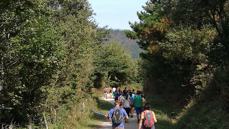 Natur Ibilbideen Sareko bideak eta bidezidorrak garbituko ditu Udalak