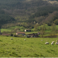Irteera: Areantza-Bolinaga