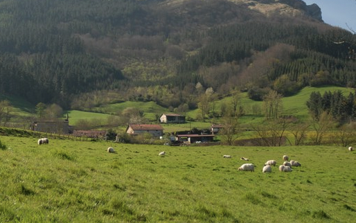 Irteera: Areantza-Bolinaga