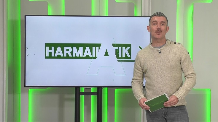 Harmailatik (2025-11-17)