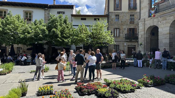 Lorez eta landarez bete dira Fernando Eskoriatza plaza inguruak