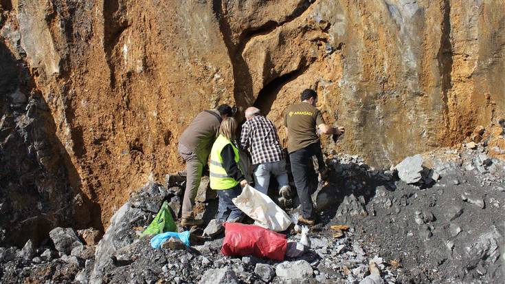 "Duela 100.000 urteko ezohiko aztarnategi paleontologiko bat" aurkitu dute Arrasaten