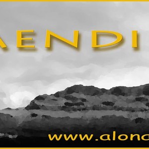 alonamendimendi