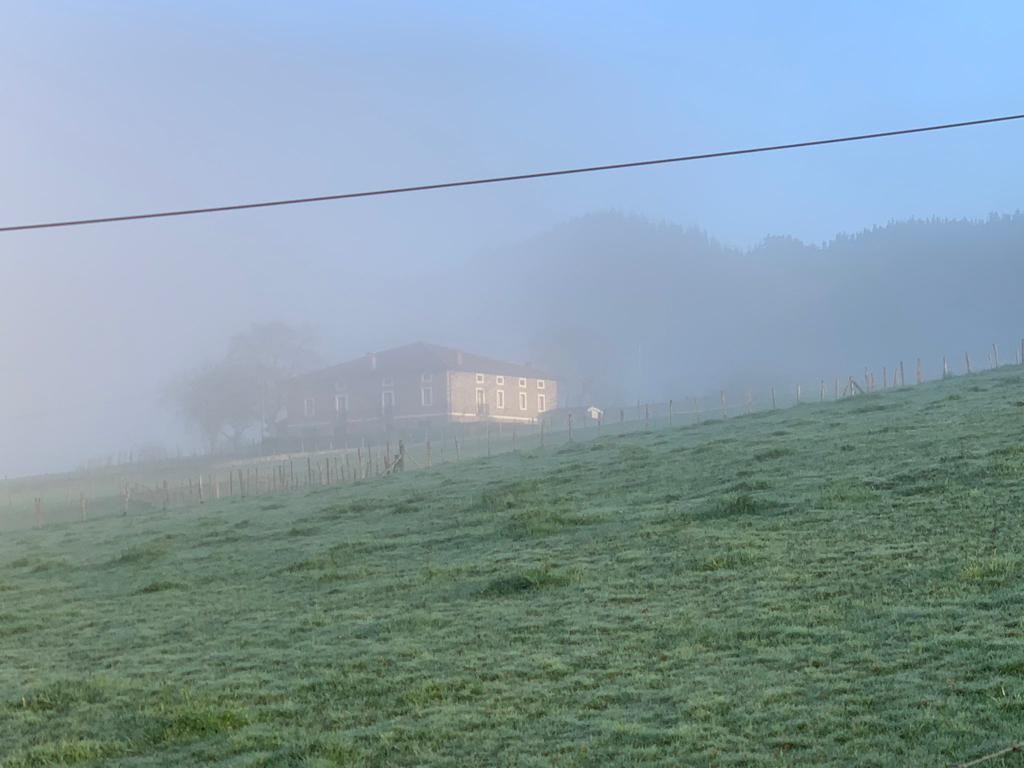 Erlaiñua