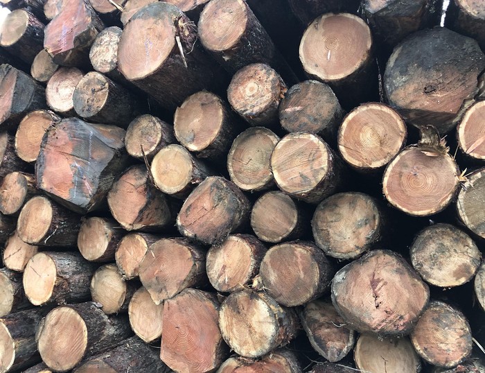 Herri basoetako su-egurra zozketa bidez banatuko du Udalak