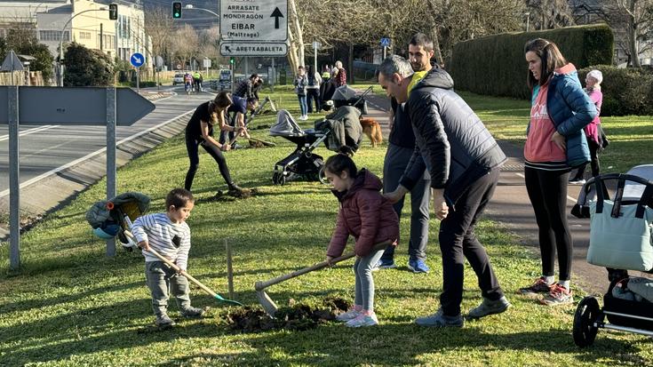 Hamar zuhaitz landatuko dituzte Santa Marinan