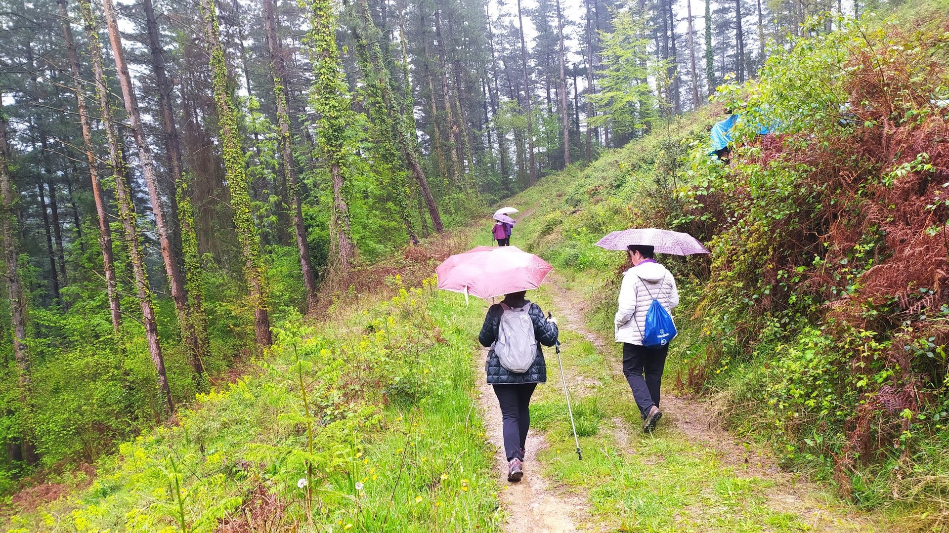 Sasoibide+: Murugainetik Izurietara