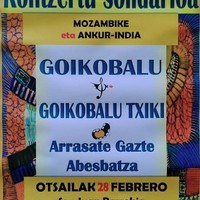 Elkartasun kontzertua