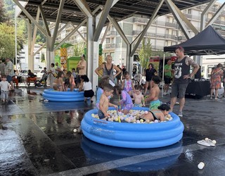 Makal Txikiaren igoera eta apar festa, iruditan