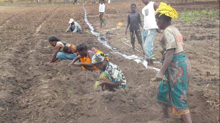 Mozambikeko nekazariei laguntzeko kanpaina abiatu du Mundukidek