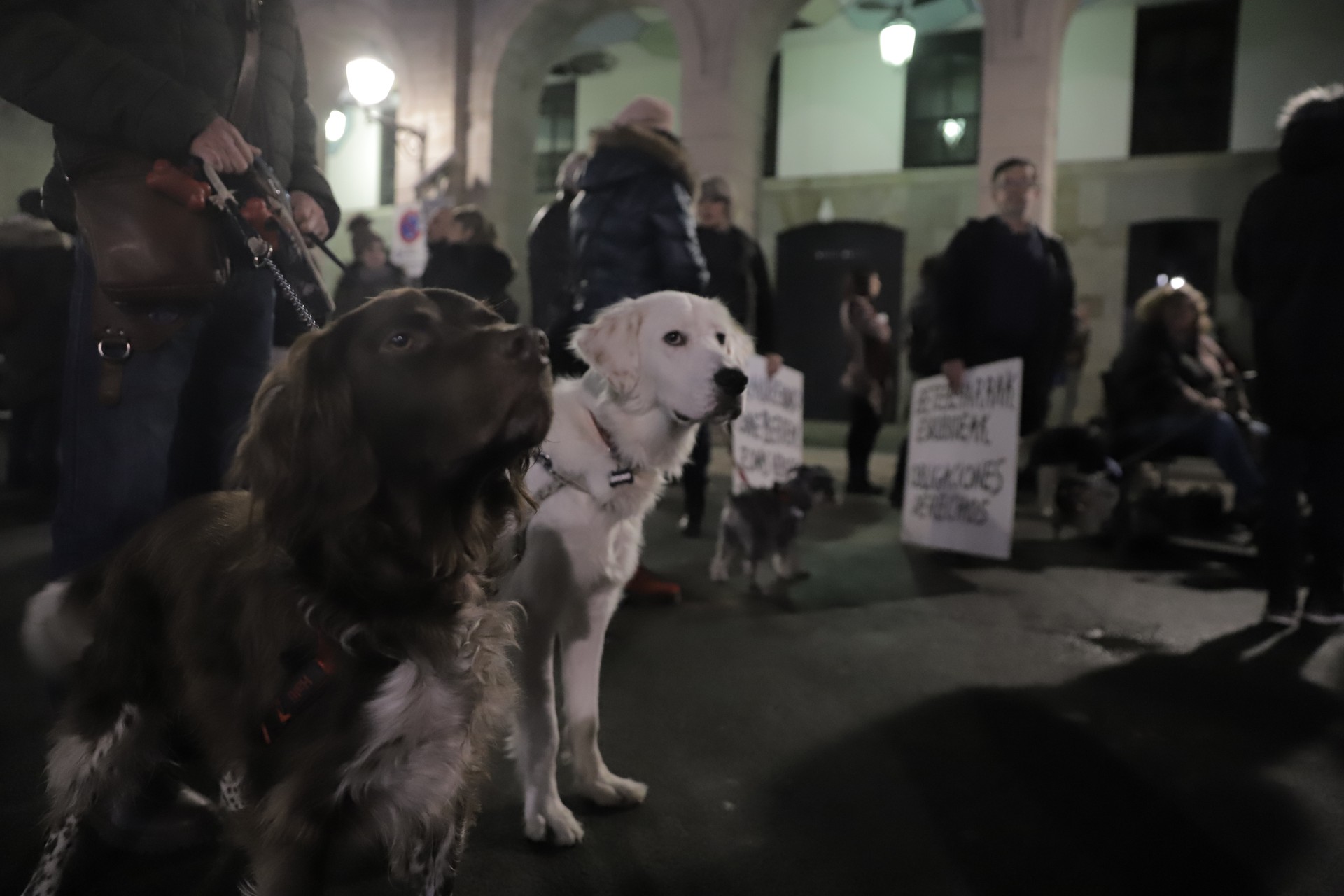Txakurrendako espazioen aldarrikapena egin dute Bergaran