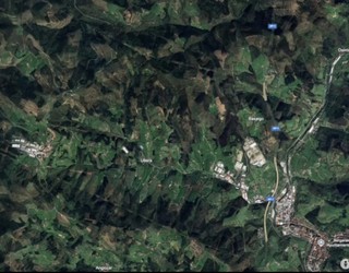 Albistegia: 2025-11-11