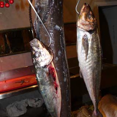 Arrain freskoa zure mahaian