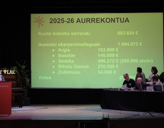 Euskal Herriko Ikastolek 1,1 milioi euro banatu dituzte zailtasunak dituzten Ikastolei eta proiektuei laguntzeko