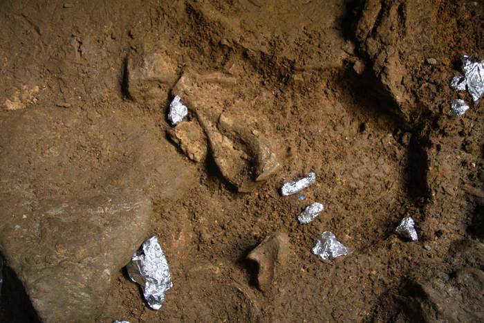 Gizakiak ustiatutako tresneria eta animalia aztarnak aurkitu dituzte Lezetxikin