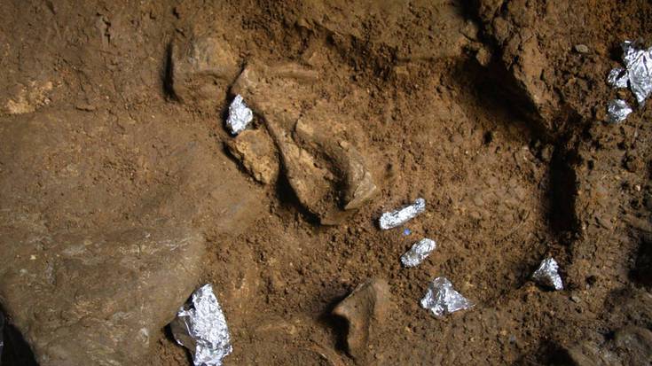 Gizakiak ustiatutako tresneria eta animalia aztarnak aurkitu dituzte