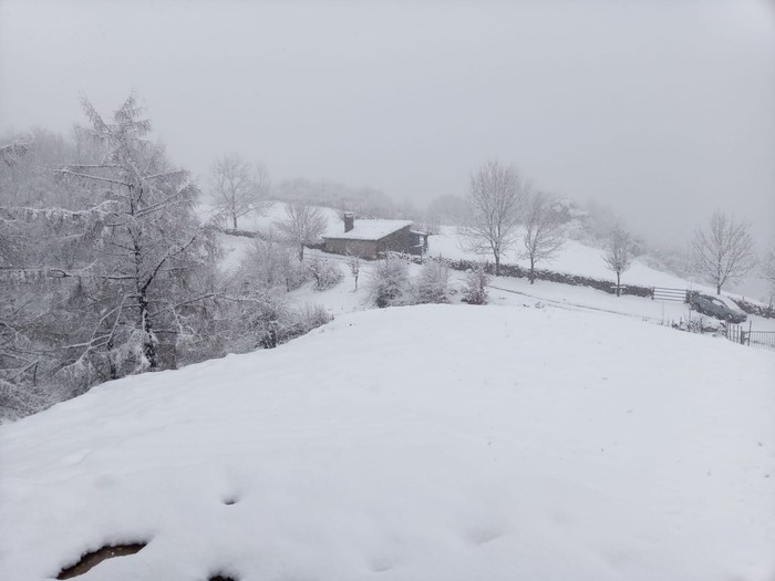 Dururaino heldu da elurra