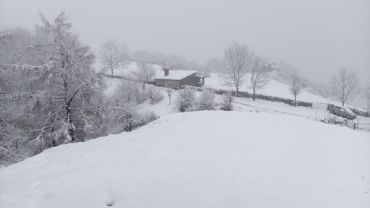 Dururaino heldu da elurra