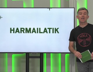 'Harmailatik': Mailaz igo dira Aloña Mendi eta Bergara futbol taldeak; Ibarrak eta Arregik irabazi dute Otala Zelai krosa; Mahonero egun emankorra ospatu dute