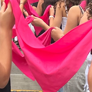 Larrain dantza, entsegua