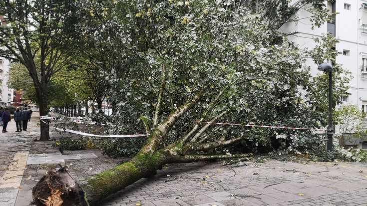 Haizearen eraginez kalteak Bergarako hainbat gunetan