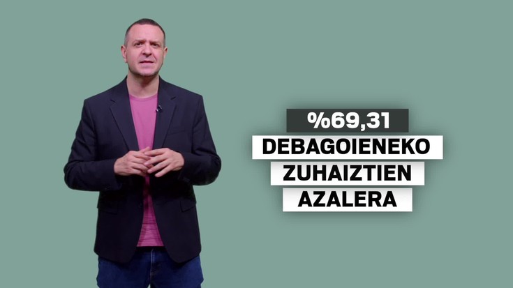 Debagoieneko zuhaitzen %63,6 koniferoak dira