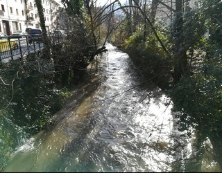 Errekak aztertuko dituzte bihar herritarren zientzia erabilita