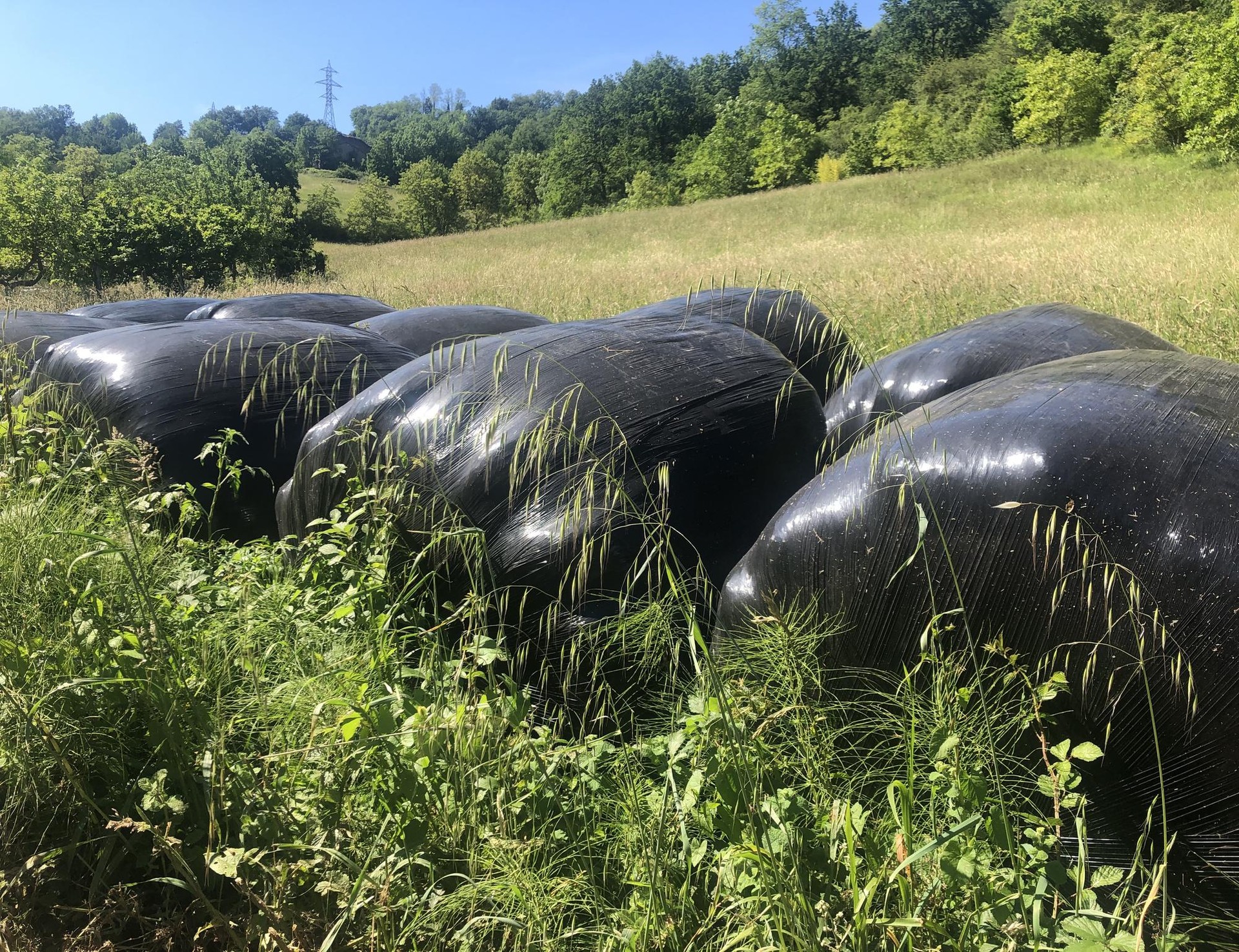 Plastiko bilketen egutegia argitaratu du Debagoieneko Landa Garapen Elkarteak