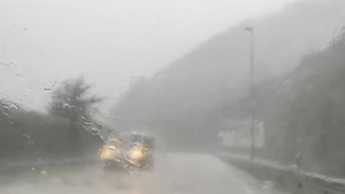 Trafiko arazoak izan dira hainbat errepidetan zuhaitz erorketak eta lurjausiak gertatu direlako