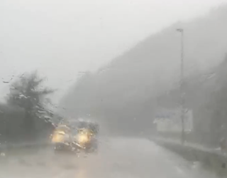 Trafiko arazoak izan dira hainbat errepidetan zuhaitz erorketak eta lurjausiak gertatu direlako