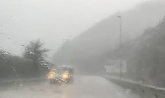 Trafiko arazoak izan dira hainbat errepidetan zuhaitz erorketak eta lurjausiak gertatu direlako