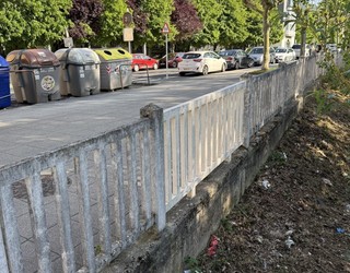 Arratoien aurkako tratamendu intentsiboa jarri du martxan Udalak