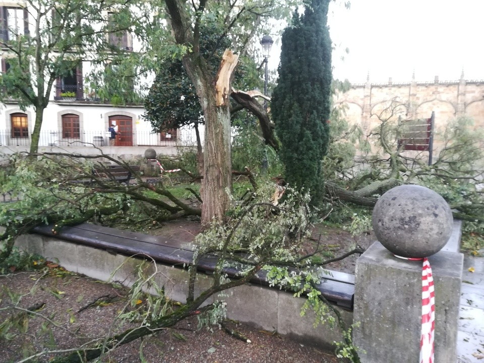 Abisu horia iragarri dute haizeagatik, zapatu gauetik domeka goizera