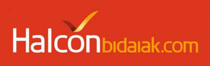 halcon_bidaiak_logo