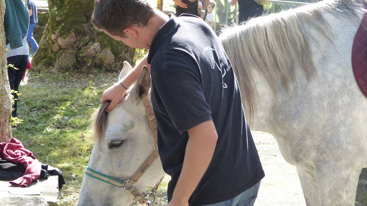 Mendi ganadu feria arrakastatsua Elosuan