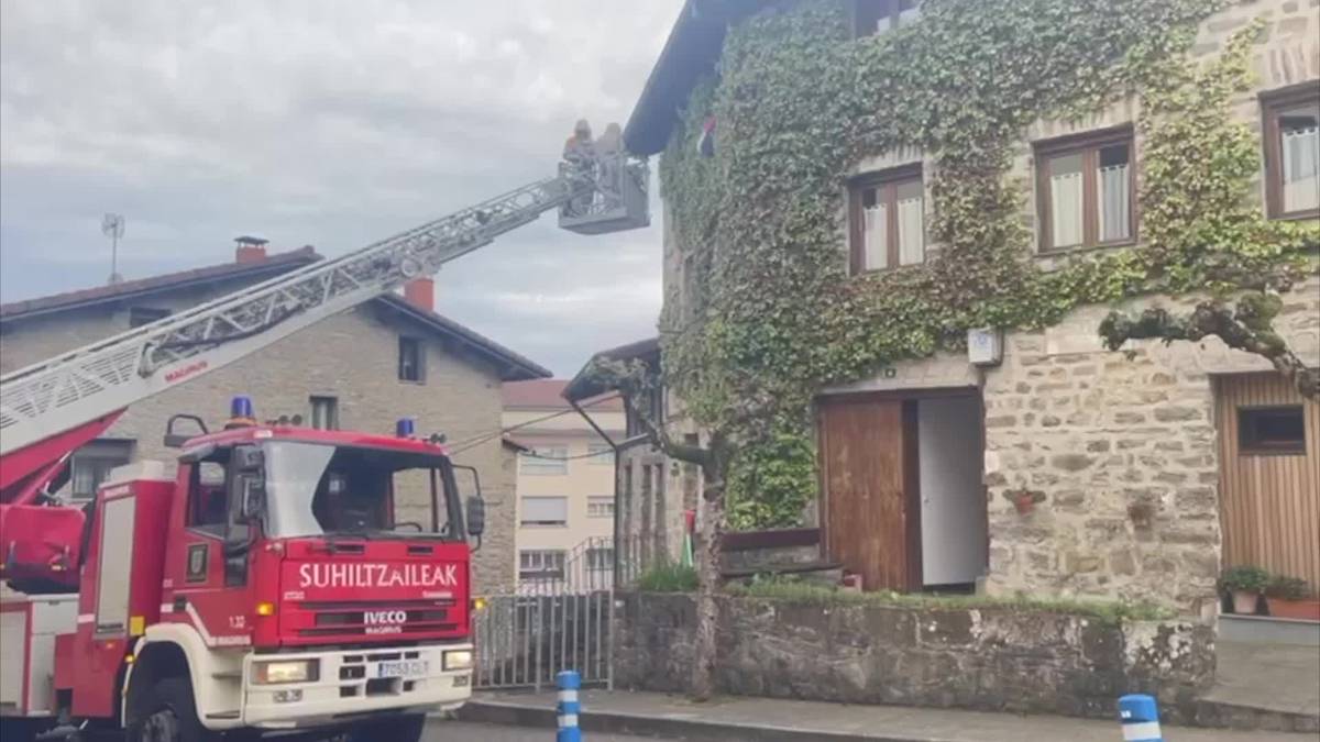 Liztor beltzaren habia bat kendu dute Elgetako etxe batetik