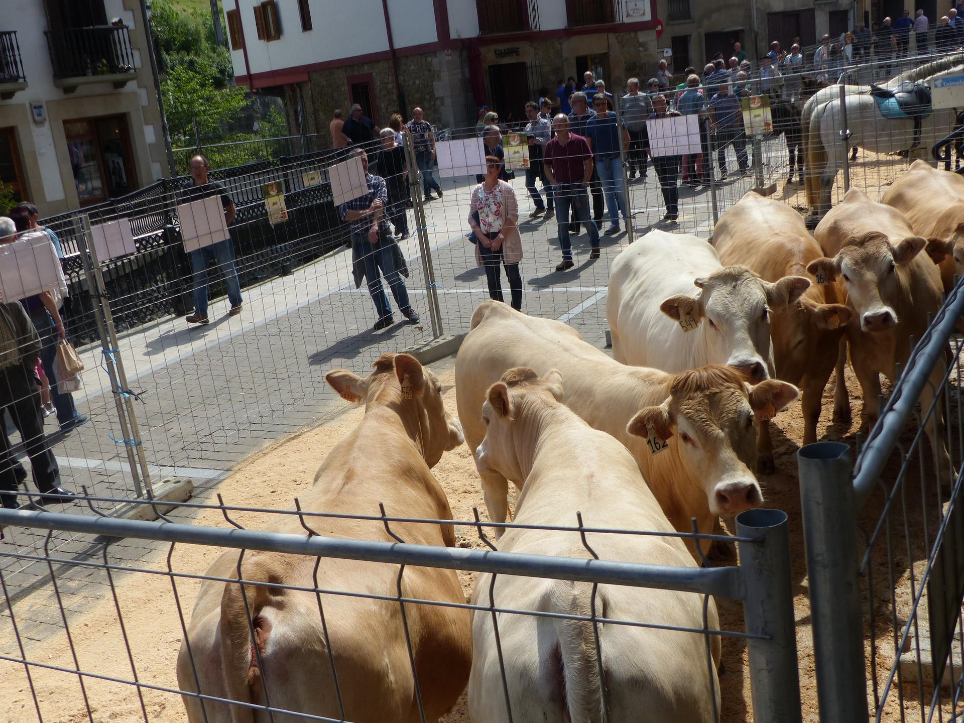 San Isidro eguna online bidez ospatzea aurreikusten dute
