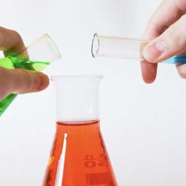 'Zientzia sukaldean' tailerra