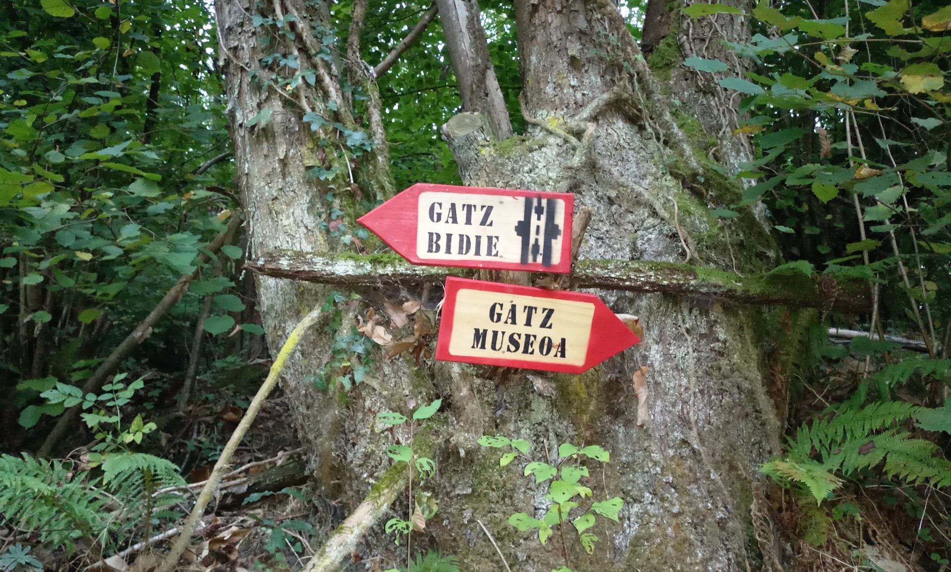 Gatz bidea: arbasoek zabaldutako bidea