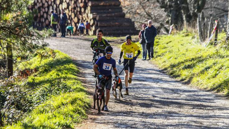 Fernando Cobos bergararra garaile beterano mailan Gorlako III. Mushing txapelketan