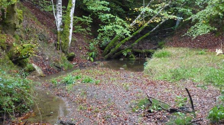 GNaturaldiaren lehen edizioa egubakoitzean iritsiko da Oñatira