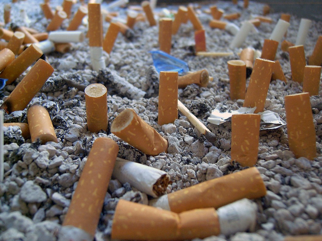Erretzeari uzteko ikastaroa Bergaran, hilaren 26an hasita