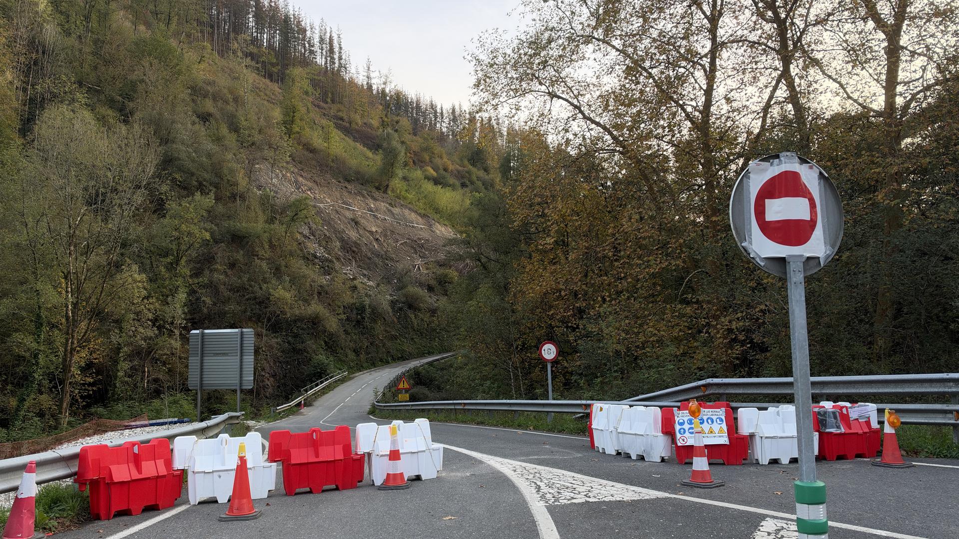 Aramaioko Udalak A-3920 errepidea lehenbailehen irekitzea eskatu du
