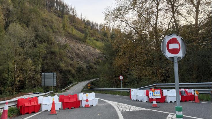 Aramaioko Udalak A-3920 errepidea lehenbailehen irekitzea eskatu du