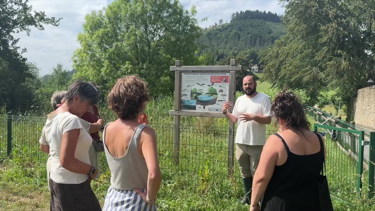 Eltxo tigrearen ziztada saihesteko gomendioak Elgetako urmaelan, Aitor Cevidanesen eskutik
