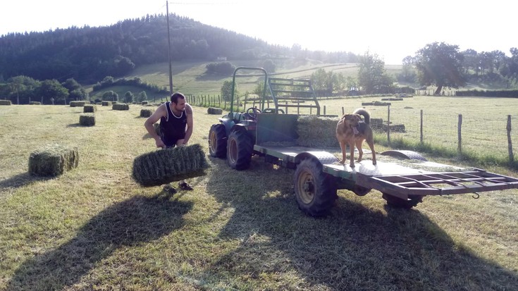 Belar-fardoak egiteko egun aproposak