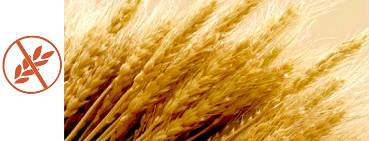Glutenik gabeko jaialdia maiatzaren 26an, Bergaran