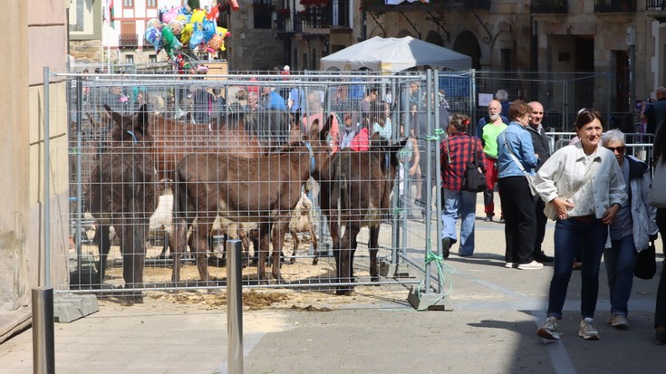 San Isidro eguna ospatu dute antzuolarrek