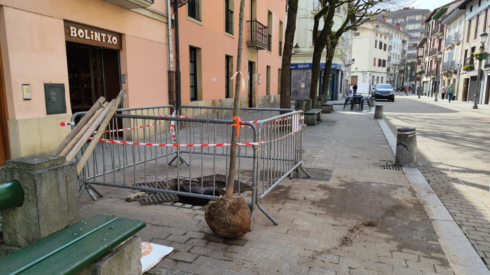 Hiru haritz eta astigar bat landatu dituzte herriko hainbat gunetan