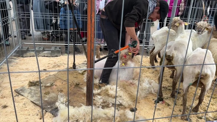 Ganadu feria, artile mozketa erakustaldi eta guzti